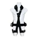 SpanSet HL-5P-01  Preview picture 1
